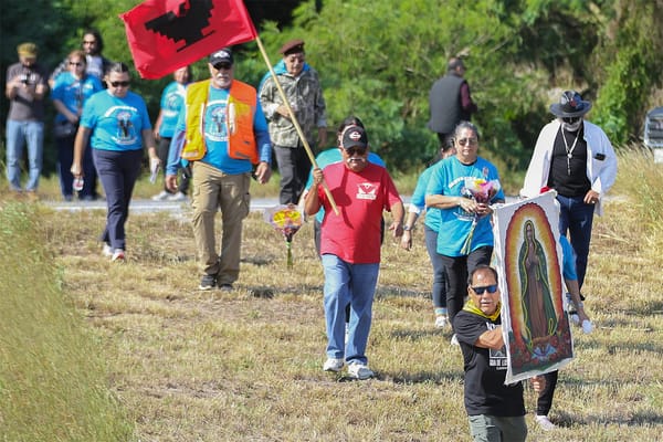 La caminata honors 'the last colonial rebellion', Trump fights SNAP payments in court, election day set for Tuesday