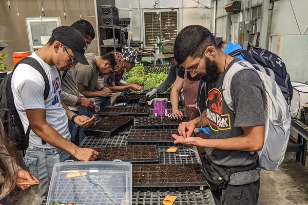 High-yield harvests amid hunger: The coalition reimagining the Rio Grande Valley’s food system
